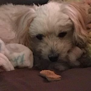 Meet your Posher, Nancy